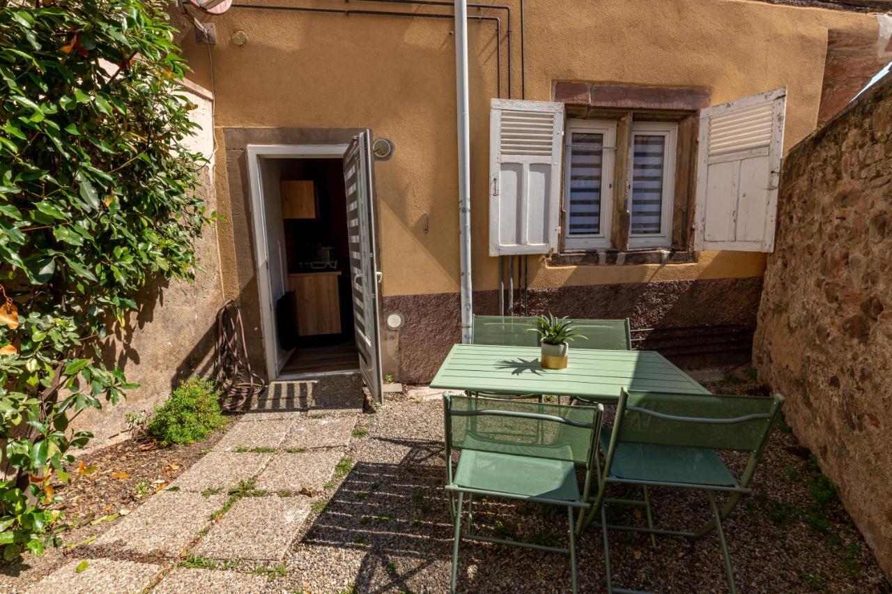 Appartement Cosy Avec Jardin Au Centre Historique De Selestat & Proche Europa-Park Exterior foto